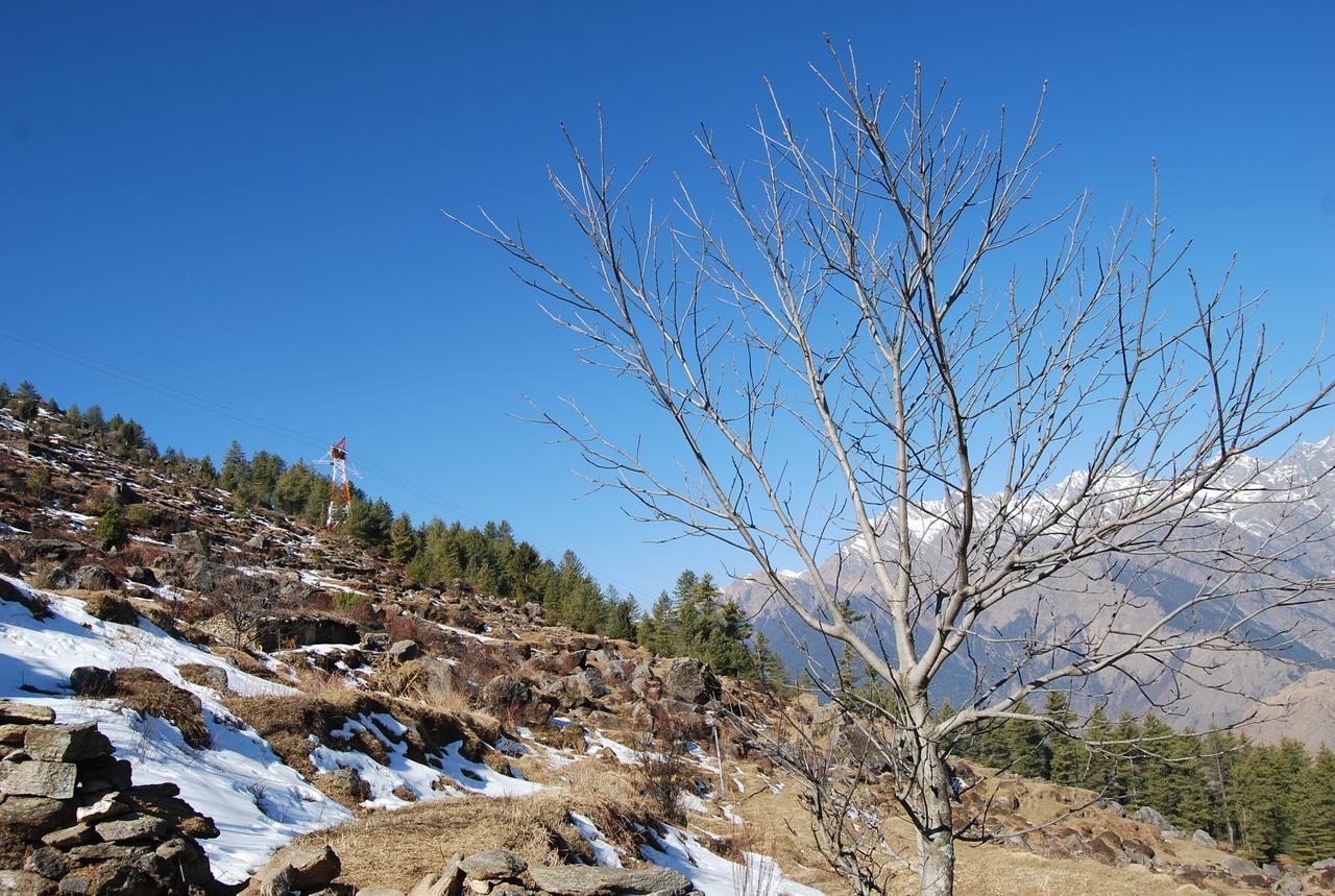 Auli Resort Joshimath Luaran gambar